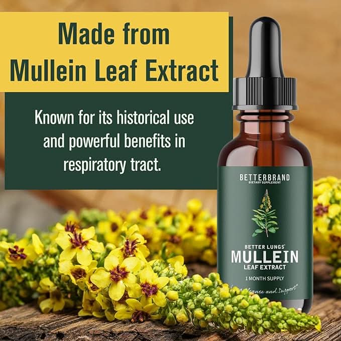 Mullein Leaf Extract - Sccoti