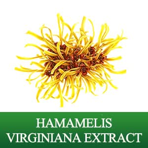 BREYLEE Acne Treatment Cream, Tea Tree Oil Acne Cream for Clearing Severe Acne, Breakout, Remove Pimple and Repair Skin (20ml,0.7oz) - Sccoti