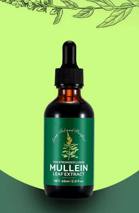 Mullein Leaf Extract - Sccoti
