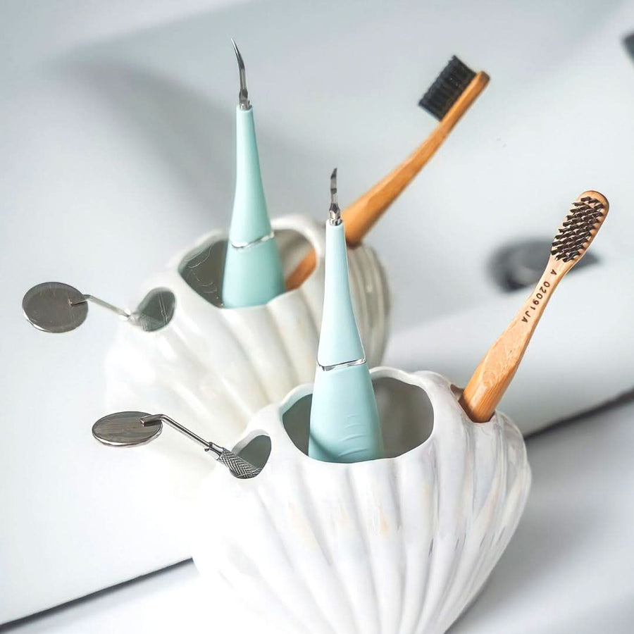 PACK 100% Natural - Densine + Bamboo Brush + Mirror - Sccoti